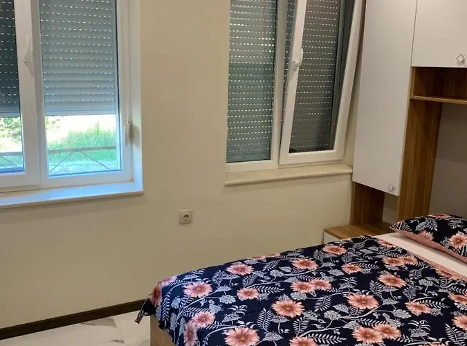 патилови * ساندانسكي